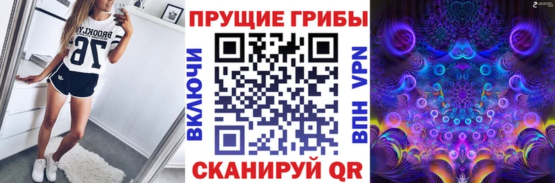 Псилоцибиновые грибы GOLDEN TEACHER где можно купить наркотик Амурск