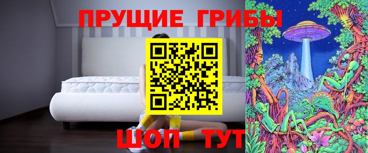 наркотики  Вход с VPN  Амурск  Псилоцибиновые грибы Cubensis 